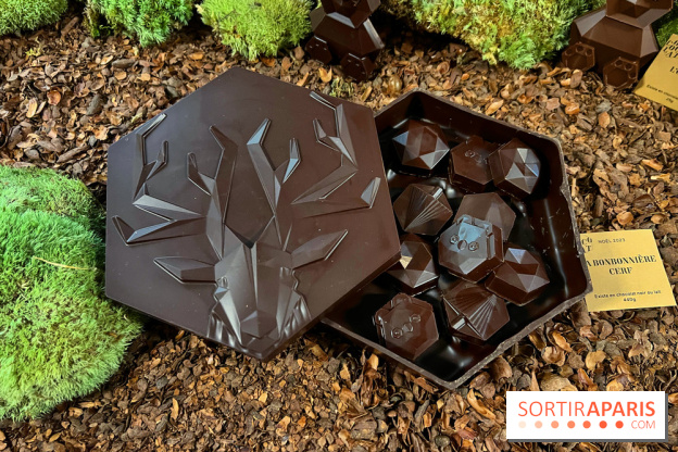 Alain Ducasse - Chocolats de Noël 2023 - FF7AC281 5BCF 4FB7 B9D6 B91F033AC06D