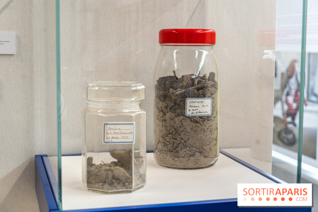 Exposition Gérard Zlotykamien alias Zloty à Paris -  A7C1537