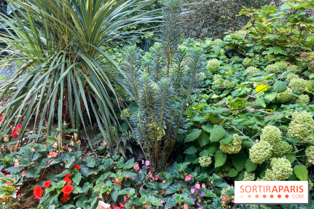 Parc de la butte du chapeau rouge - image00778