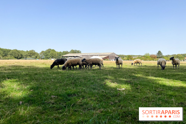 La Ferme des 4 Etoiles à Auffargis - image00046