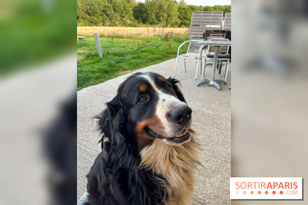 La Ferme des 4 Etoiles à Auffargis - image00006