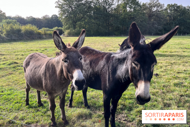 La Ferme des 4 Etoiles à Auffargis - image00002
