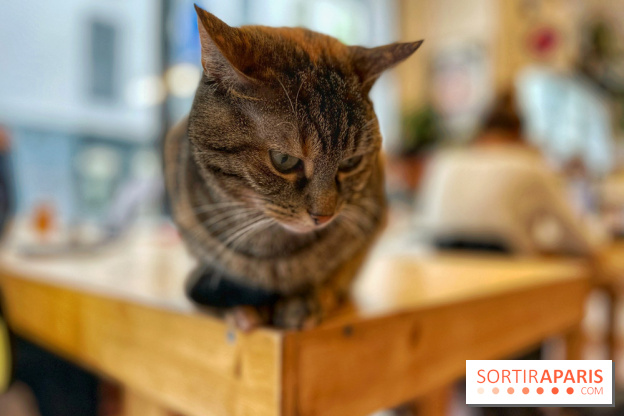 La Régulière - IMG 5295