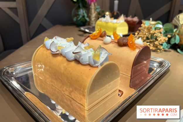 Hugo & Victor - Bûche de Noël 2023 exotique