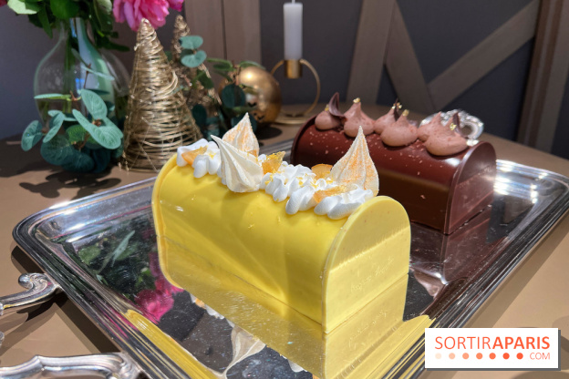 Hugo & Victor - Bûche de Noël 2023 citron-verveine