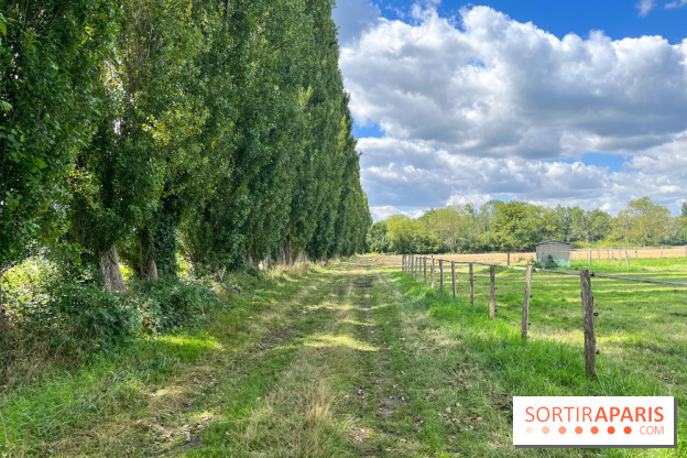 Un week-end le long du Loing, de Montigny-sur-Loing à Thomery