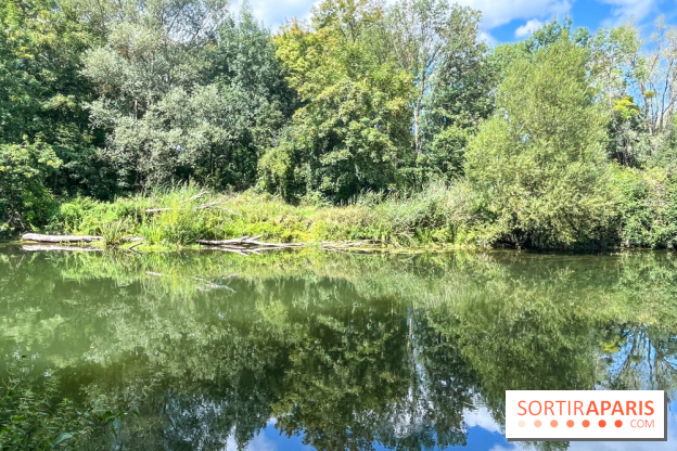 Un week-end le long du Loing, de Montigny-sur-Loing à Thomery