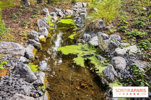 Les jardins japonais de Favières - photos - IMG 1773