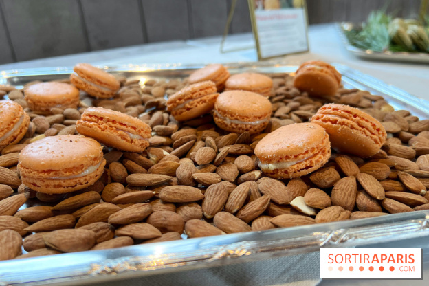 Dalloyau - Macarons de Noël 2023