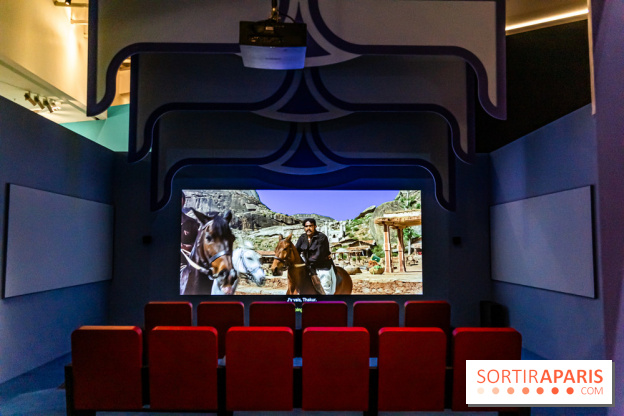 Exposition Bollywood Superstars au Musée du Quai Branly - photos  -  A7C1987