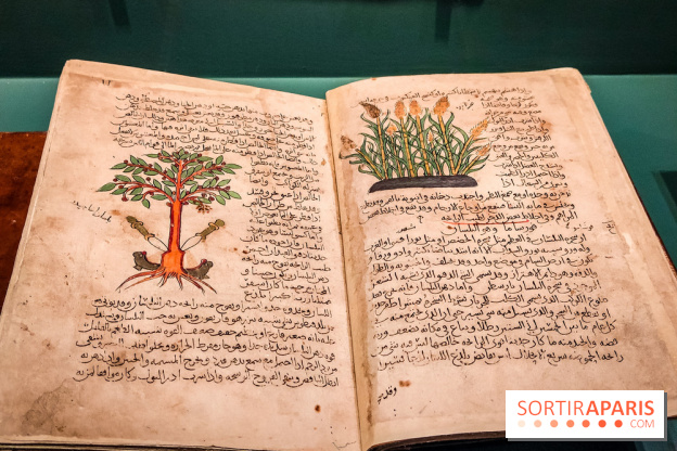 Parfums d'Orient, l'exposition qui enchante nos sens à l'Institut du Monde Arabe - photos