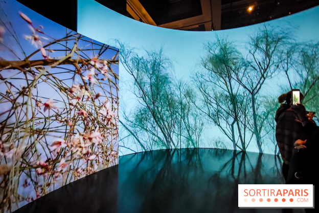 Parfums d'Orient, l'exposition qui enchante nos sens à l'Institut du Monde Arabe - photos