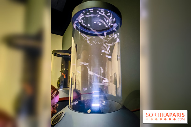 Parfums d'Orient, l'exposition qui enchante nos sens à l'Institut du Monde Arabe - photos