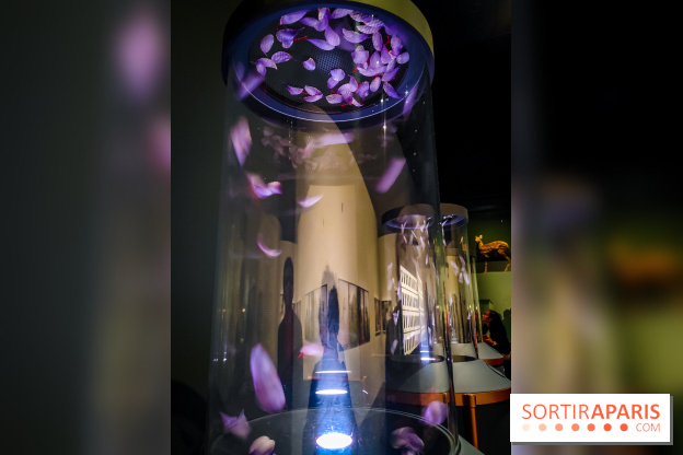 Parfums d'Orient, l'exposition qui enchante nos sens à l'Institut du Monde Arabe - photos