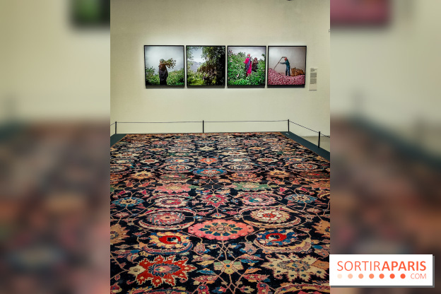 Parfums d'Orient, l'exposition qui enchante nos sens à l'Institut du Monde Arabe - photos