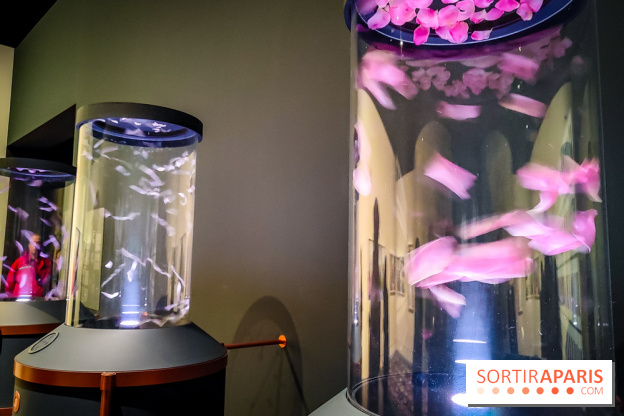 Parfums d'Orient, l'exposition qui enchante nos sens à l'Institut du Monde Arabe - photos