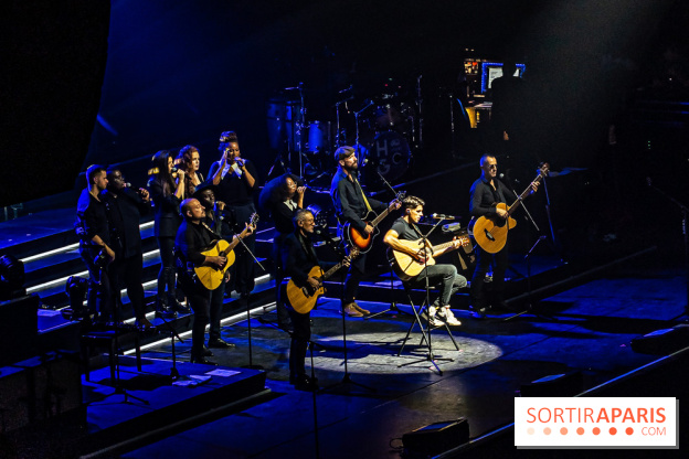 L'Héritage Goldman au Dôme de Paris - Palais des Sports - les photos
