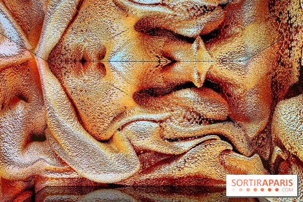 Dior J'adore !, l'exposition gratuite qui célèbre le parfum iconique de la Maison  - image00019