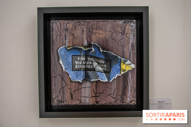 Exposition Les Cages de l'Imaginaire Sandra Chevrier galerie Goldshteyn-Saatort