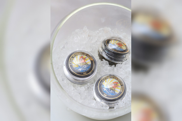 Bar éphémère La Bulle au Jazz Club Etoile du Meridien