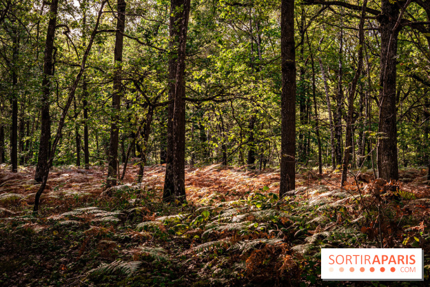 Le sentier des Maréchaux à Senlisse - Vallée de Chevreuse