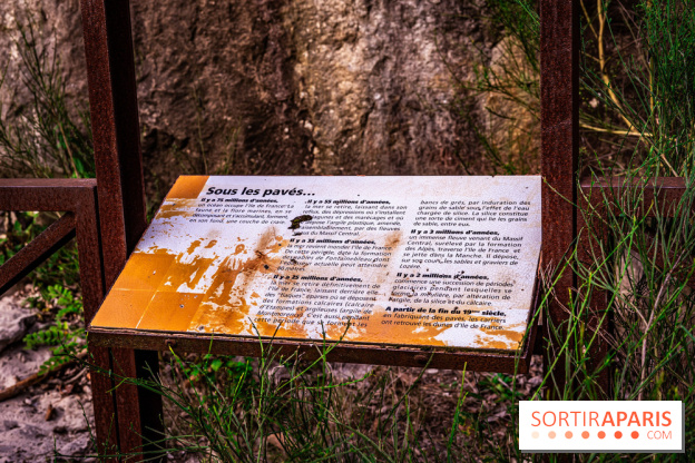Le sentier des Maréchaux à Senlisse - Vallée de Chevreuse -  A7C2478