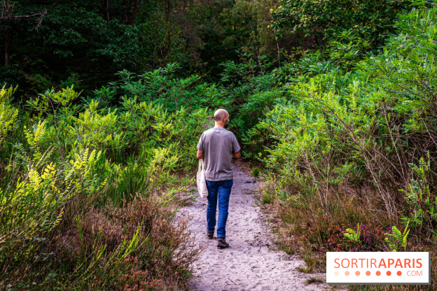 Le sentier des Maréchaux à Senlisse - Vallée de Chevreuse -  A7C2479