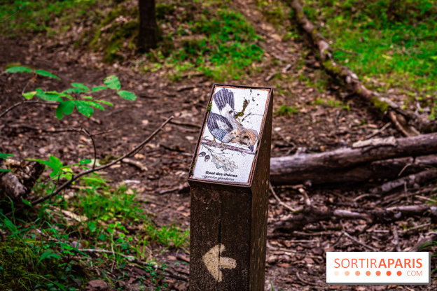 Le sentier des Maréchaux à Senlisse - Vallée de Chevreuse -  A7C2486