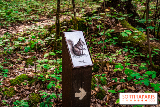 Le sentier des Maréchaux à Senlisse - Vallée de Chevreuse -  A7C2489