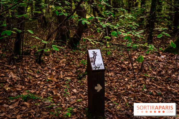Le sentier des Maréchaux à Senlisse - Vallée de Chevreuse -  A7C2490