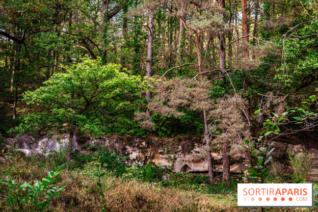 Le sentier des Maréchaux à Senlisse - Vallée de Chevreuse