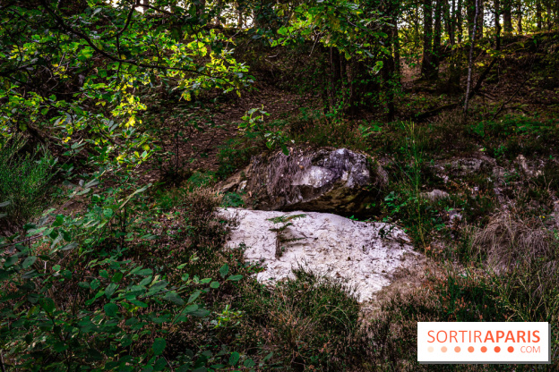 Le sentier des Maréchaux à Senlisse - Vallée de Chevreuse
