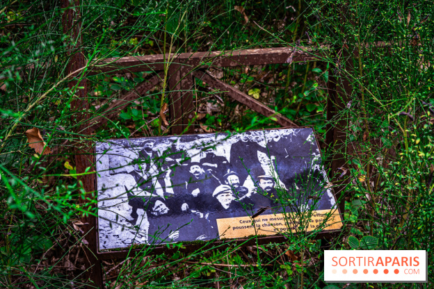 Le sentier des Maréchaux à Senlisse - Vallée de Chevreuse -  A7C2499