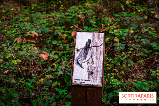 Le sentier des Maréchaux à Senlisse - Vallée de Chevreuse -  panneau faune flore