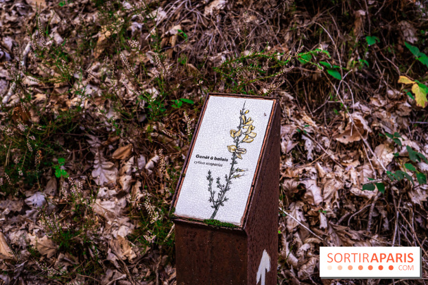 Le sentier des Maréchaux à Senlisse - Vallée de Chevreuse -  panneau faune flore