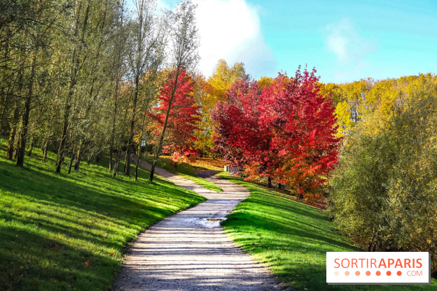 Bassin - étang de la Boissière à Elancourt