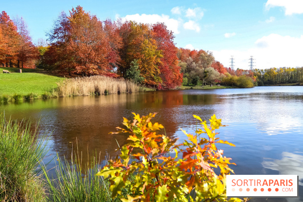Bassin - étang de la Boissière à Elancourt