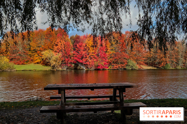 Bassin - étang de la Boissière à Elancourt