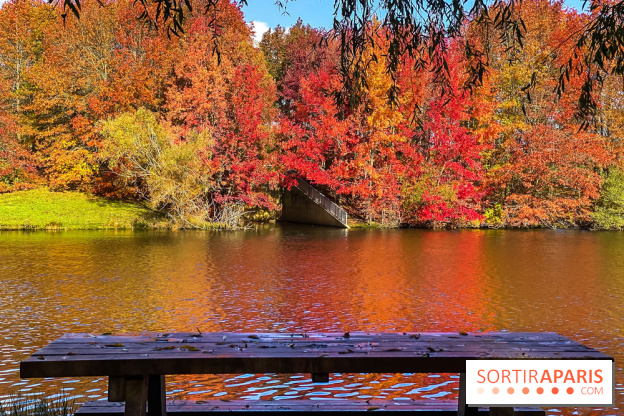 Bassin - étang de la Boissière à Elancourt