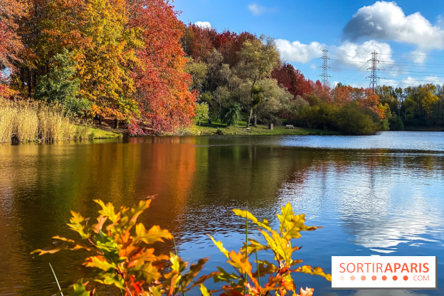 Bassin - étang de la Boissière à Elancourt