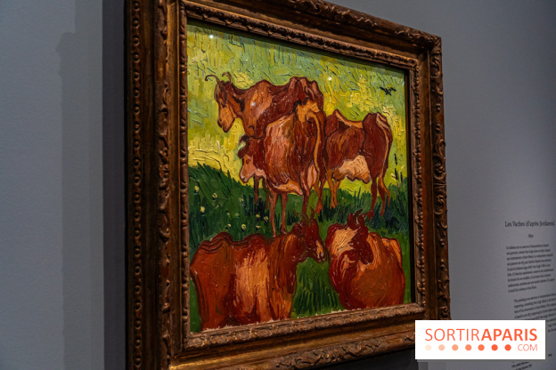 Exposition Van Gogh au Musée d’Orsay - Auvers-sur-Oise, les derniers mois -  A7C3039