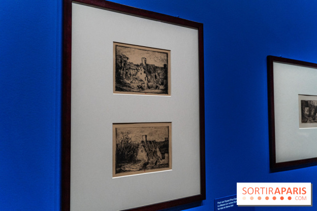 Exposition Van Gogh au Musée d’Orsay - Auvers-sur-Oise, les derniers mois -  A7C3041