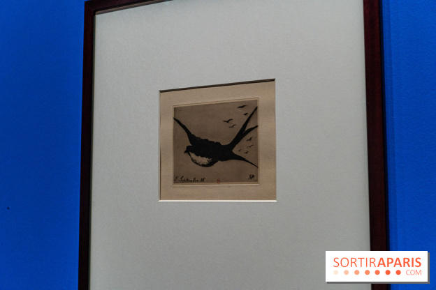 Exposition Van Gogh au Musée d’Orsay - Auvers-sur-Oise, les derniers mois -  A7C3042