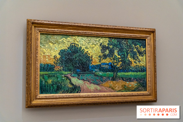 Exposition Van Gogh au Musée d’Orsay - Auvers-sur-Oise, les derniers mois -  A7C3119