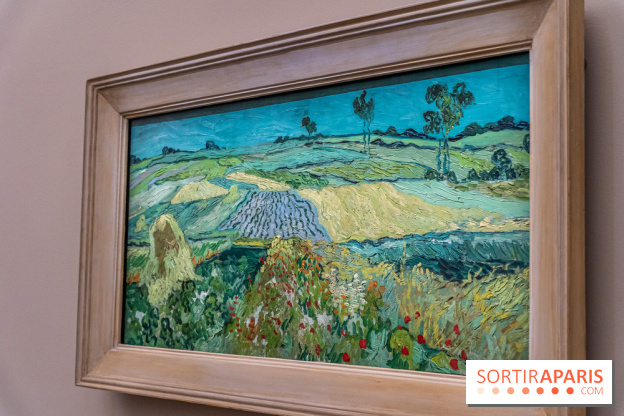 Exposition Van Gogh au Musée d’Orsay - Auvers-sur-Oise, les derniers mois -  A7C3111