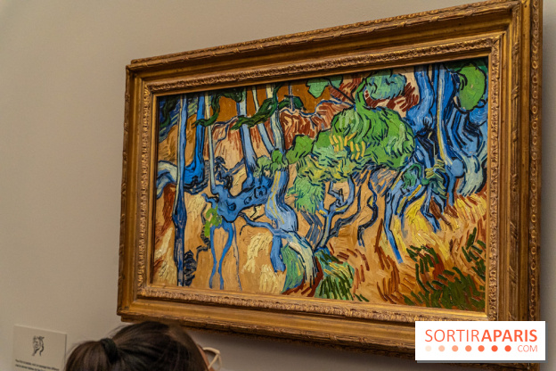 Exposition Van Gogh au Musée d’Orsay - Auvers-sur-Oise, les derniers mois -  A7C3116