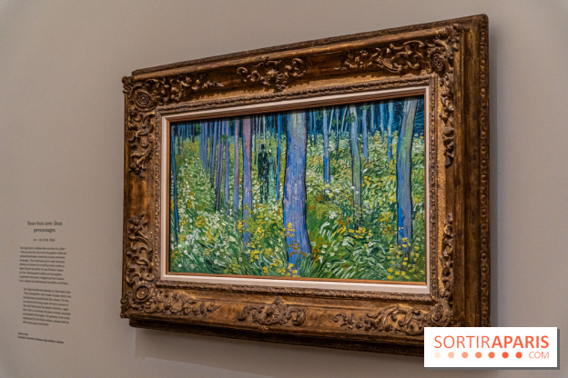 Exposition Van Gogh au Musée d’Orsay - Auvers-sur-Oise, les derniers mois -  A7C3118