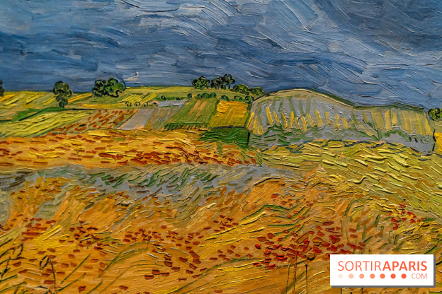 Exposition Van Gogh au Musée d’Orsay - Auvers-sur-Oise, les derniers mois -  A7C3103