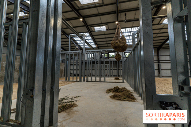 Les lodges de Thoiry - dormir à Thoiry en Terres d'Afrique - Photos -  A7C3254