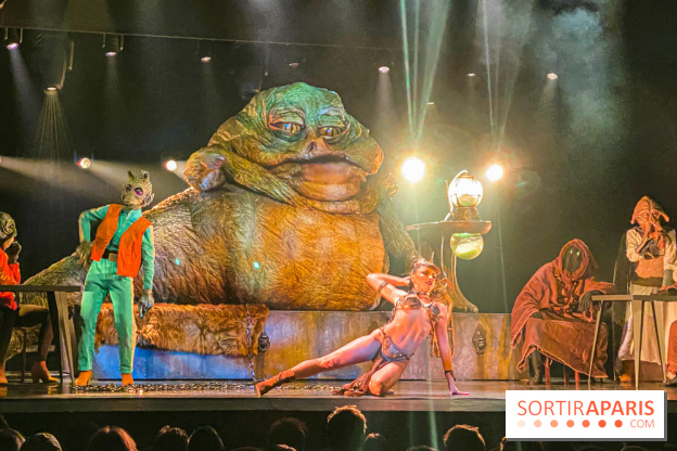 Star Wars The Empire Strips Back